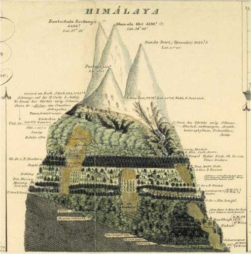 Fig. 3: Elevation model of Himalayan vegetation by Alexander von Humboldt and Heinrich Berghaus (1845)