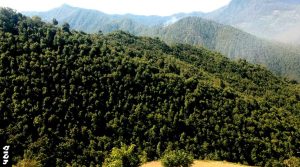 तिलाड़ी काण्ड – उत्तराखण्ड का जालियाँवाला बाग