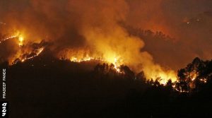 वनाग्नि से धधकता उत्तराखंड